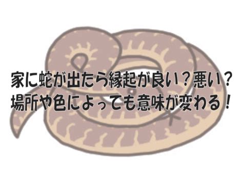 風水 蛇|家に蛇が出たら縁起が良い？悪い？場所や色によって。